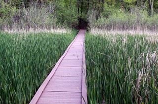 Boardwalk in Lauer Park
