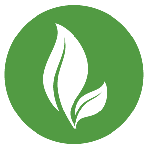 organic-icon-png-27